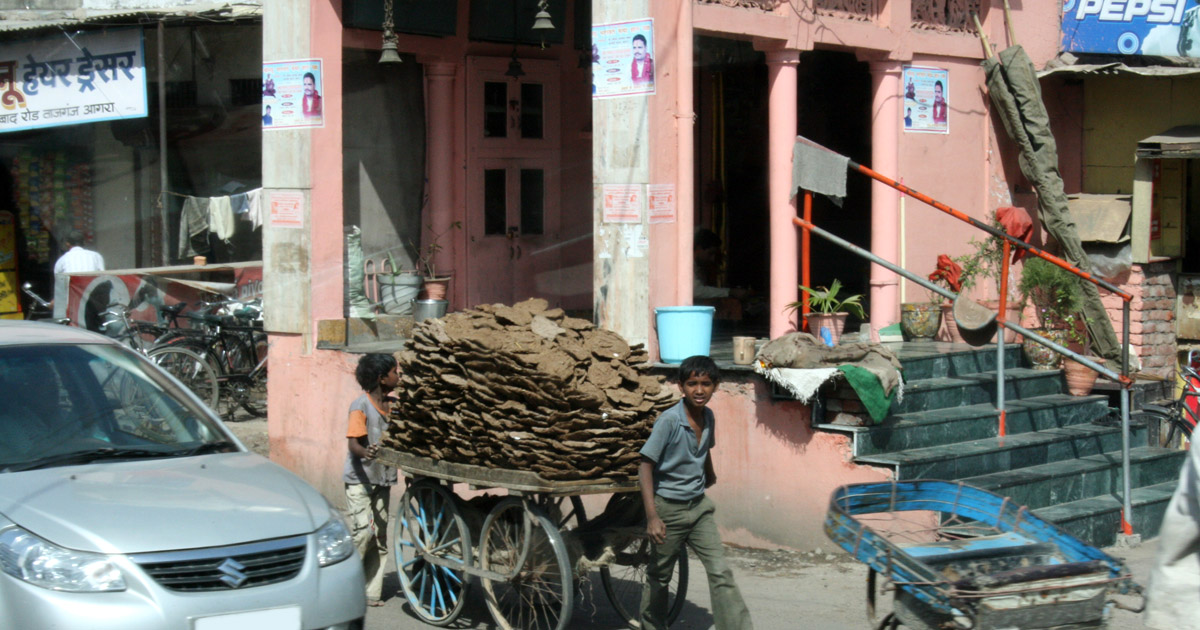 Getrockneter Kuhdung ist ganz normale Handelsware in Indien – Ralf in Indien Reisetagebuch